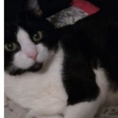 Caso clínico de uso de células madre en insuficiencia renal. Evolución a lo largo del tiempo